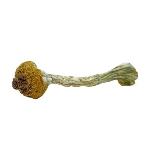 Keepers Creeper Magic Mushrooms